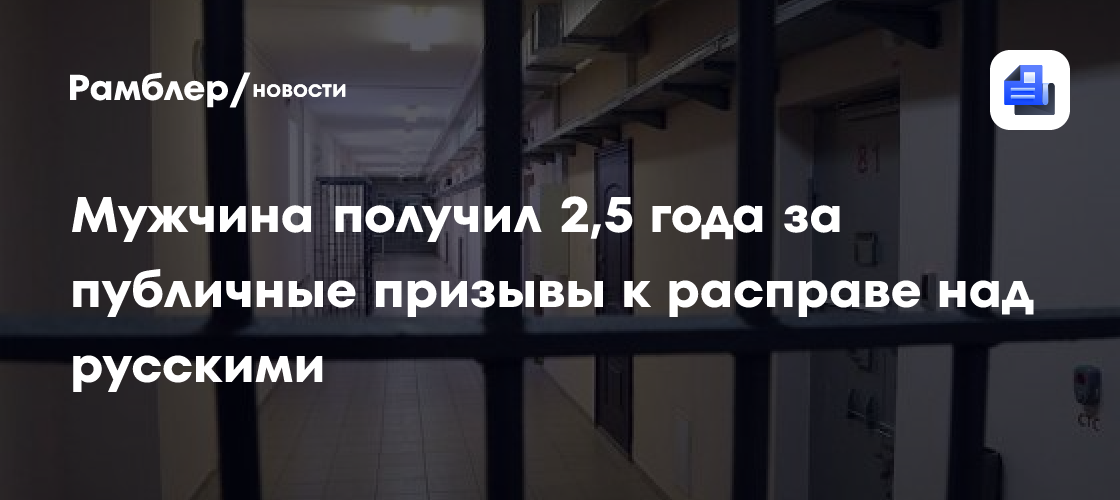 Мужчина получил 2,5 года за публичные призывы к расправе над русскими