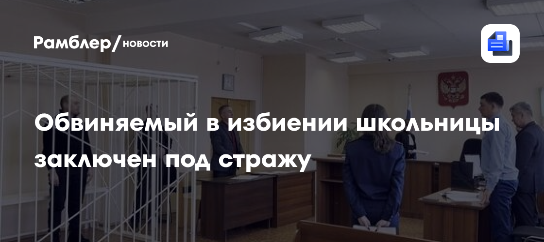 Обвиняемый в избиении школьницы заключен под стражу