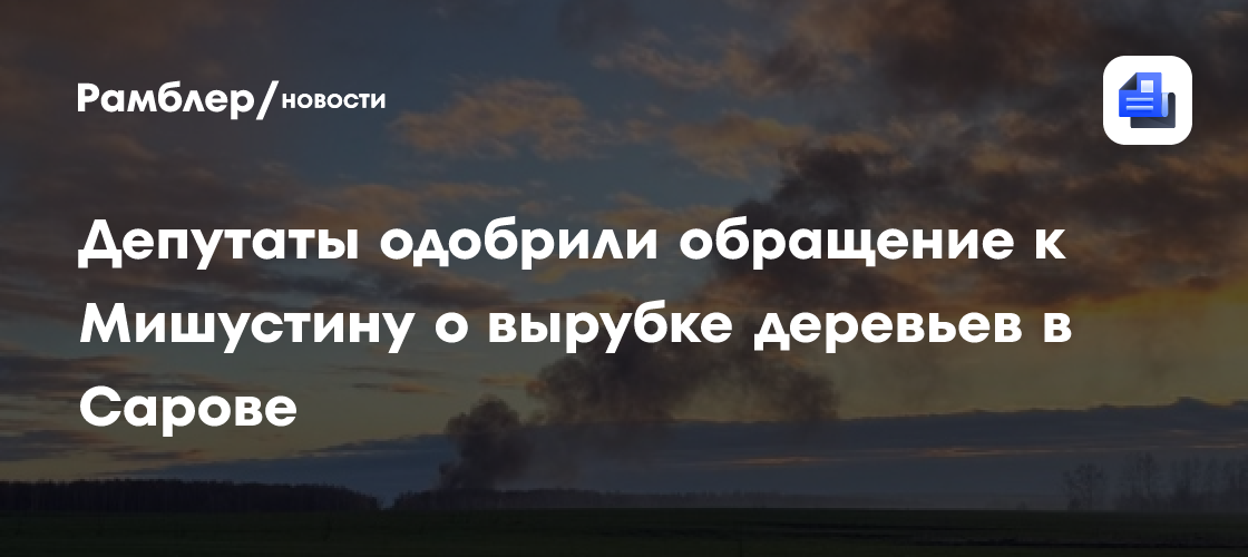 Депутаты одобрили обращение к Мишустину о вырубке деревьев в Сарове