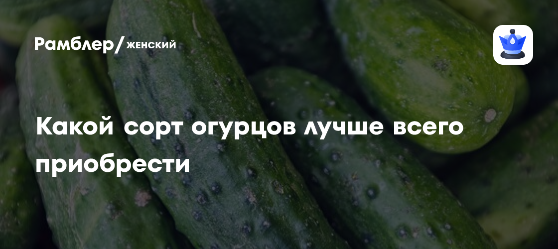 Лучший сорт огурцов — просто песня: урожай рванет и в холод, и в жару ...