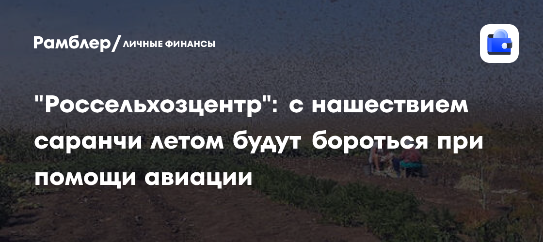 «Россельхозцентр»: нашествие саранчи летом готовы ликвидировать авиацией