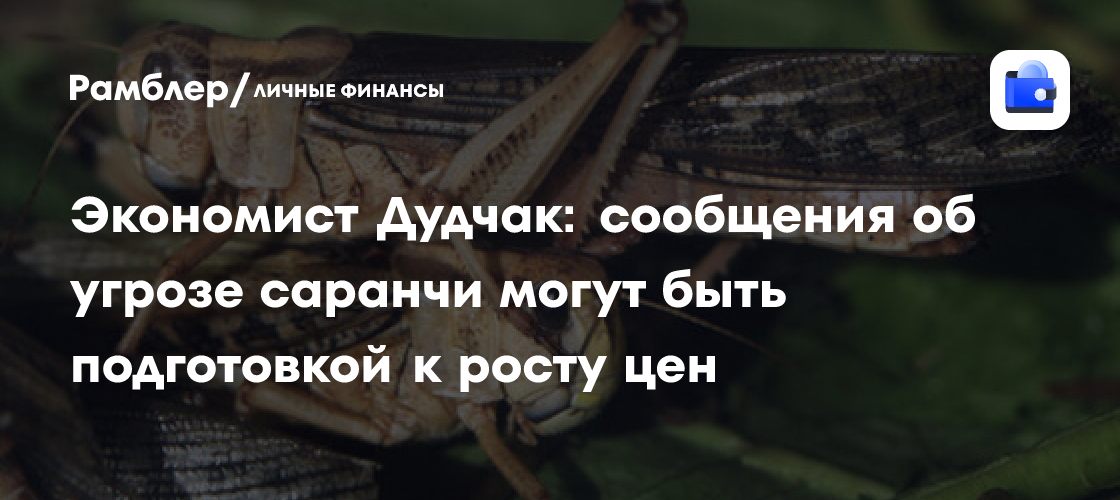 Экономист Дудчак: сообщения об угрозе саранчи могут быть подготовкой к росту цен