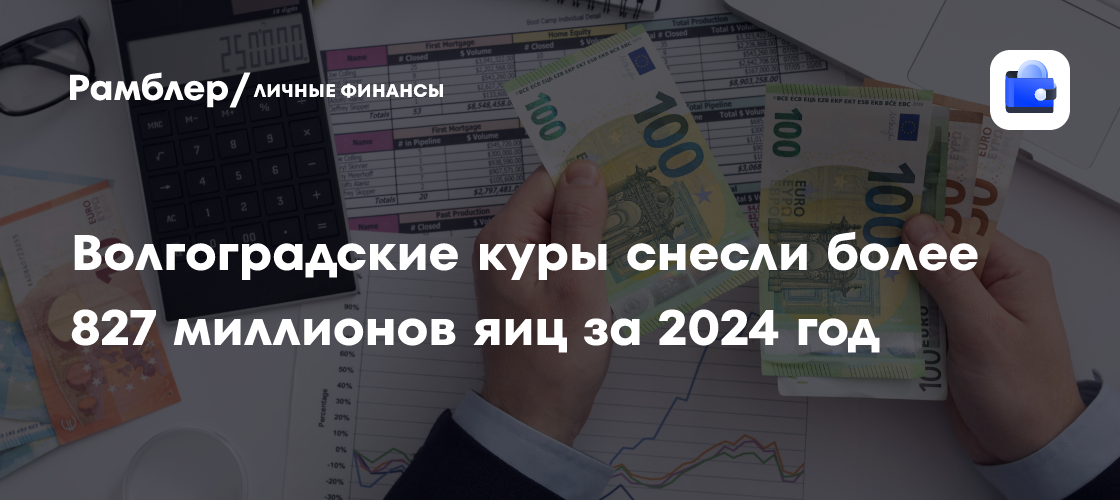 Волгоградские куры снесли более 827 миллионов яиц за 2024 год