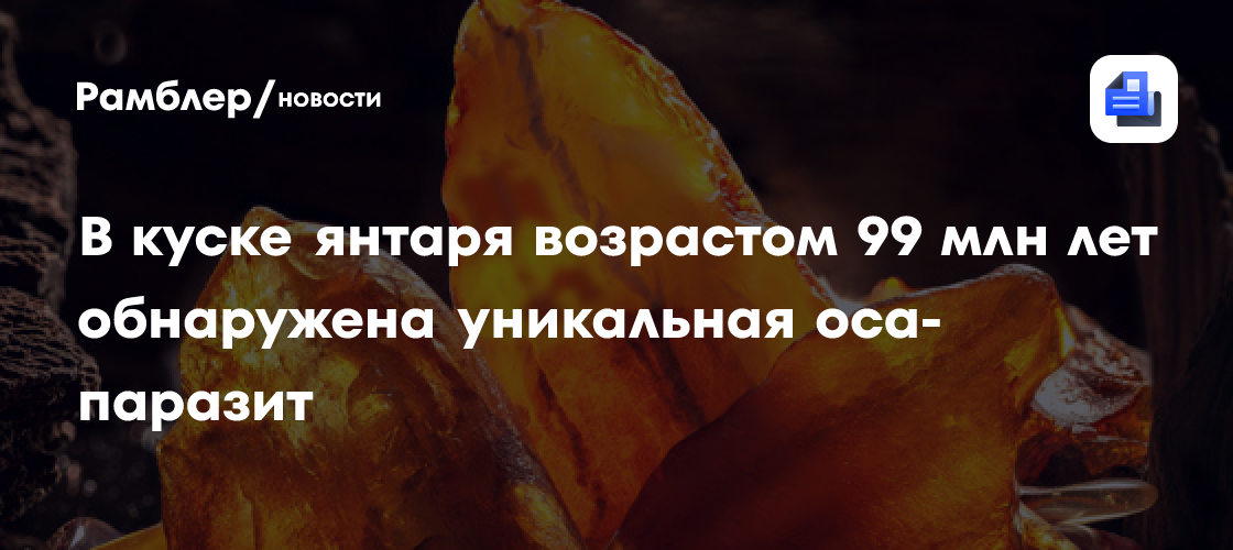 99 миллионов лет в янтаре. Ученые обнаружили осу-паразита с ловушкой как у венериной мухоловки