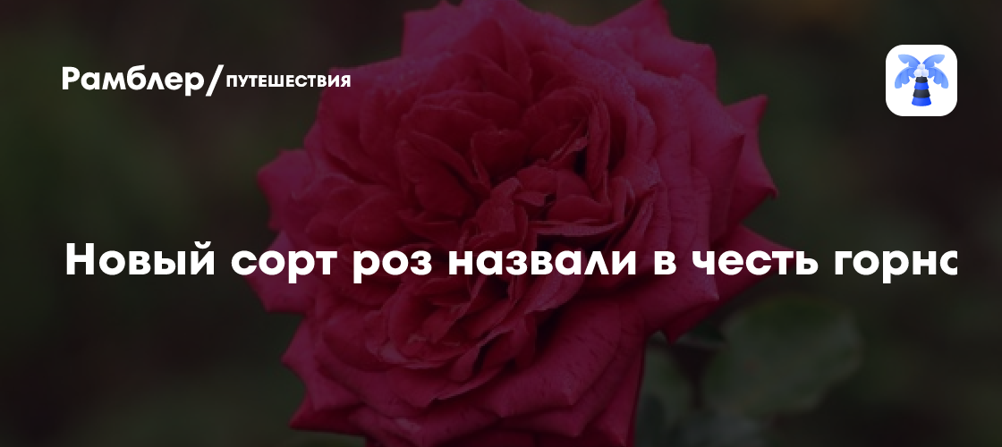 Зимний сезон 2024/2025 в «Роза Хутор»: более 865 тысяч гостей и новые рекорды