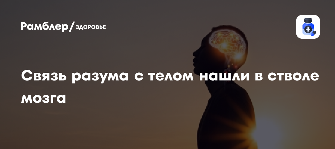 Революционное открытие: Японские ученые нашли связь между разумом и телом в стволе мозга!