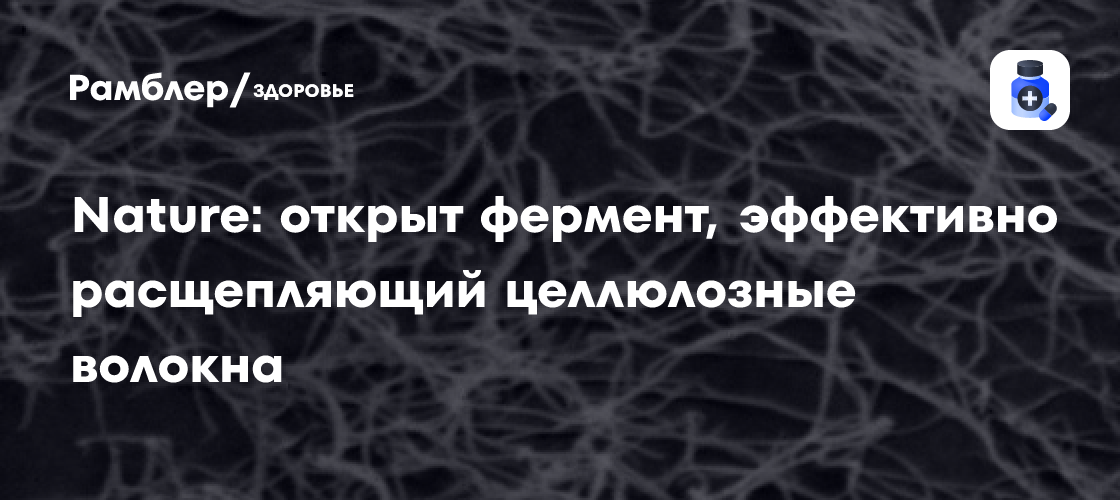 Революция в биоэнергетике: Бразильские ученые открыли фермент CelOCE, способный эффективно расщеплять целлюлозу