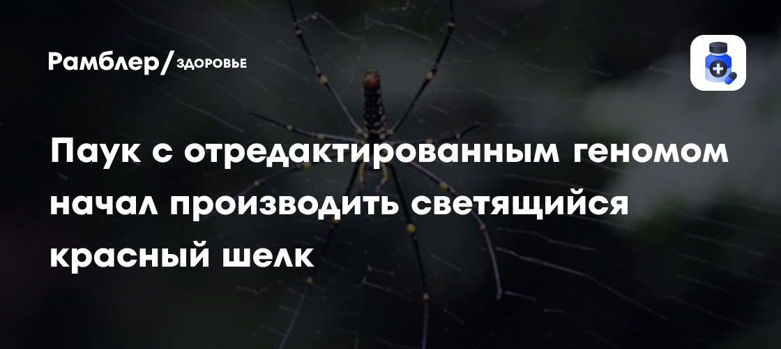 Революция в материаловедении: паук с генетически модифицированным красным светящимся шелком!