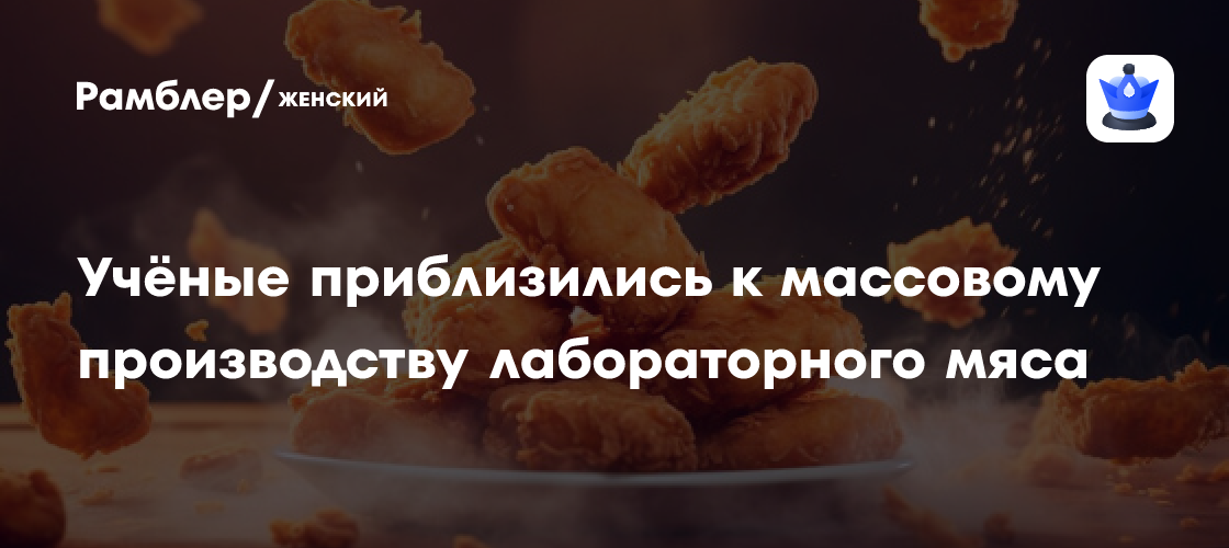 Революция в пищевой промышленности: Японские ученые совершили прорыв в производстве лабораторного мяса