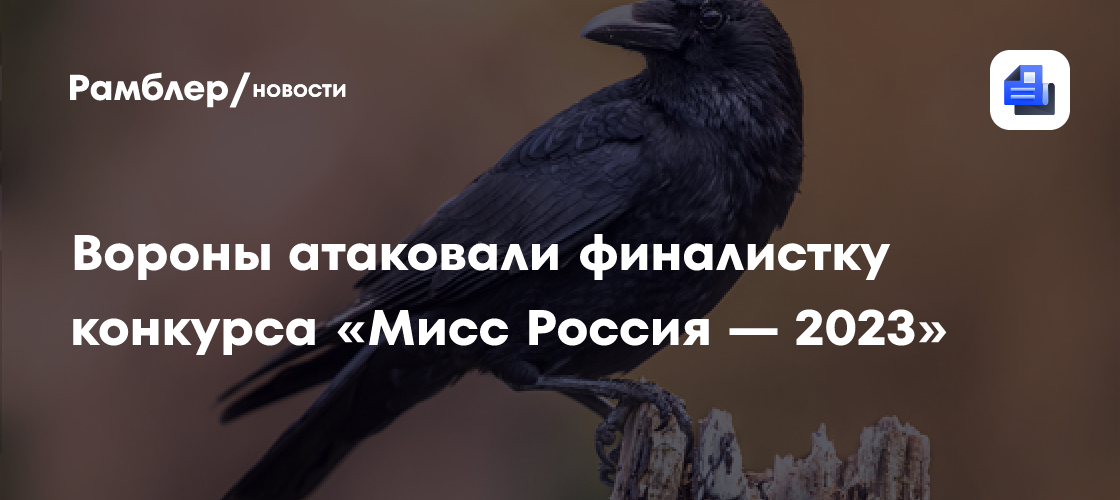 Неожиданная атака ворон: финалистка «Мисс Россия — 2023» пережила шокирующий инцидент во Владивостоке