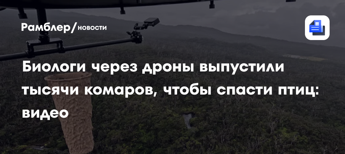 Биологи через дроны выпустили тысячи комаров, чтобы спасти птиц: видео