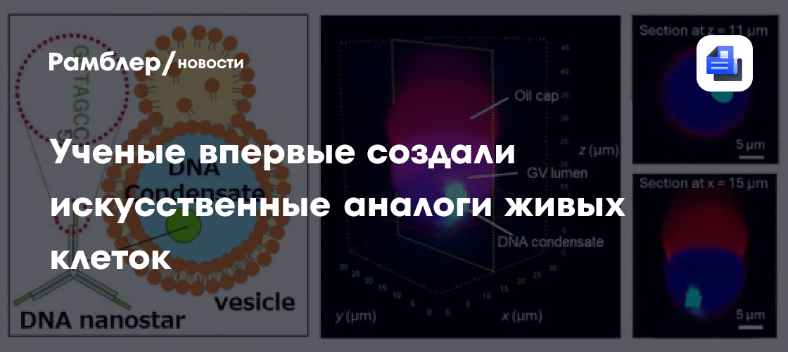 Революция в биотехнологиях: Японские ученые разработали технологию массового производства искусственных клеток