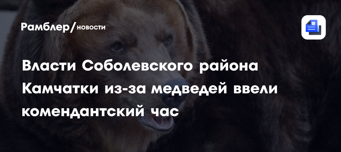 Камчатка: В Соболевском районе введен комендантский час из-за набегов медведей