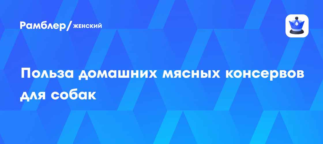 Почему влажный корм для собак – лучший выбор? Польза и преимущества консервов для питомцев