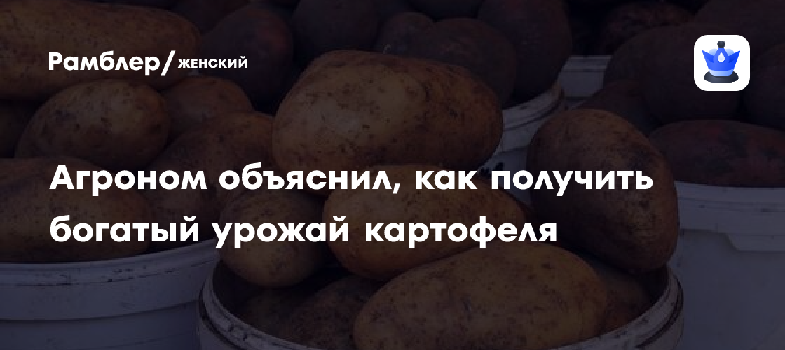 Как вырастить богатый урожай картофеля: советы агронома