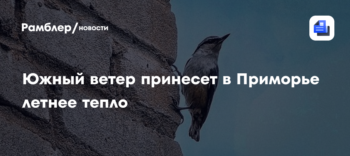 Южный ветер принесет в Приморье летнее тепло