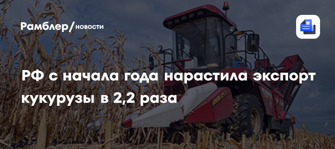 РФ с начала года нарастила экспорт кукурузы в 2,2 раза