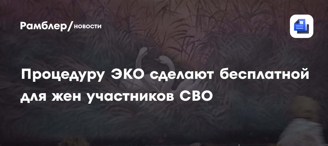 Процедуру ЭКО сделают бесплатной для жен участников СВО - Рамблер/новости