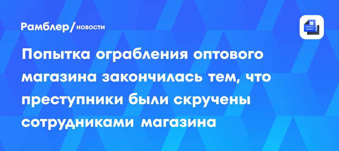 Попытка ограбления оптового магазина закончилась тем, что преступники были скручены сотрудниками магазина
