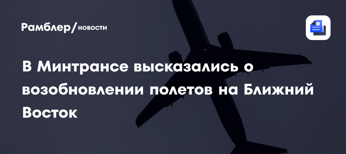 В Минтрансе высказались о возобновлении полетов на Ближний Восток