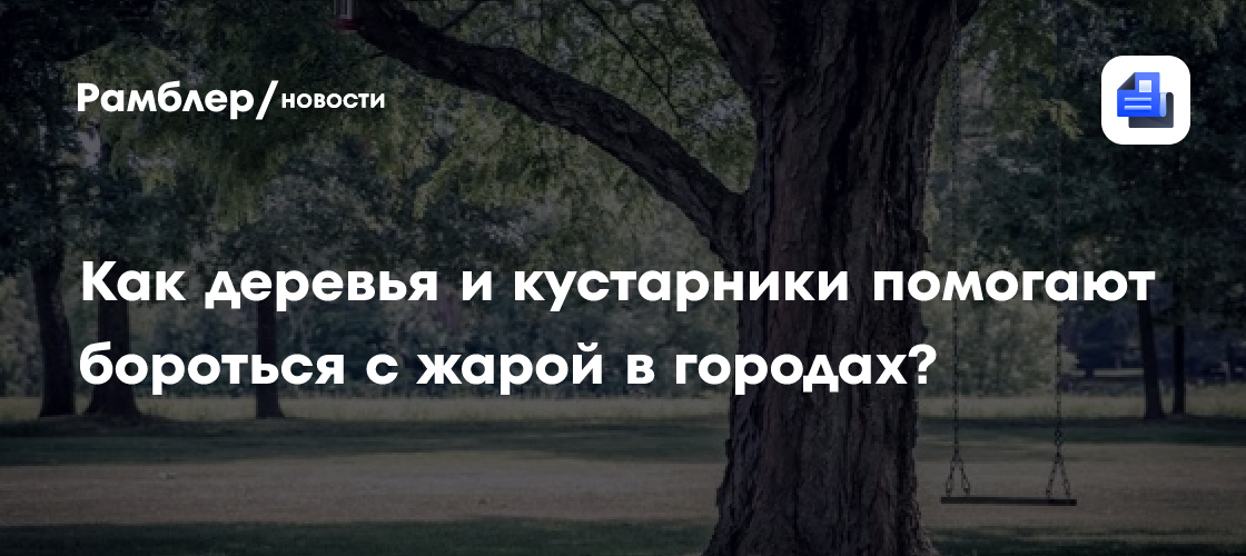 Как деревья и кустарники помогают бороться с жарой в городах?