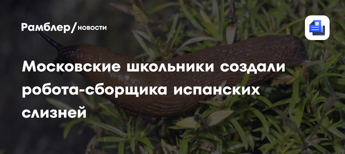 Московские школьники создали робота–сборщика испанских слизней