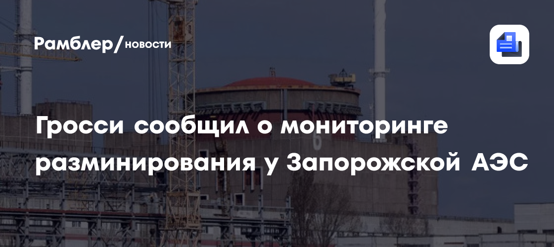 Гросси сообщил о мониторинге разминирования у Запорожской АЭС