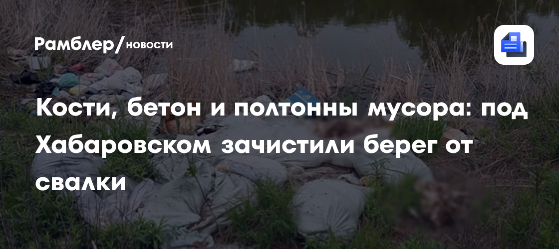 Кости, бетон и полтонны мусора: под Хабаровском зачистили берег от свалки