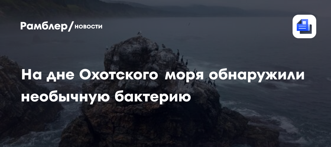 Ученые нашли на дне Охотского моря новый вид бактерий