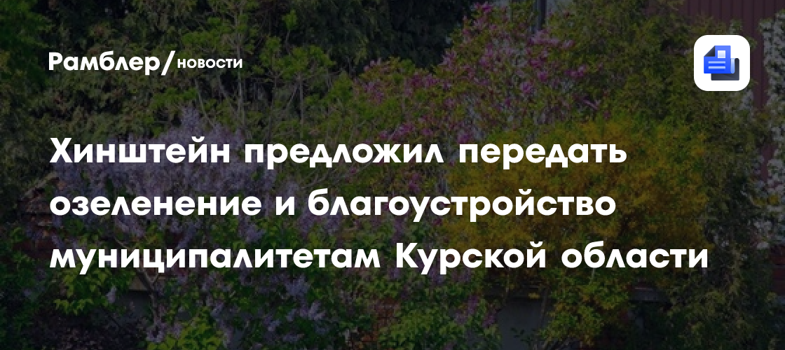 Хинштейн предложил передать озеленение и благоустройство муниципалитетам Курской области