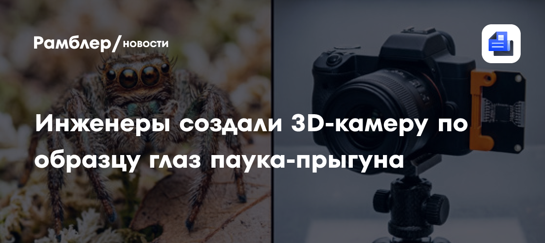 Инженеры создали 3D-камеру по образцу глаз паука-прыгуна