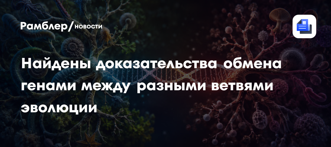 Биологи нашли доказательства обмена генами между разными ветвями эволюции
