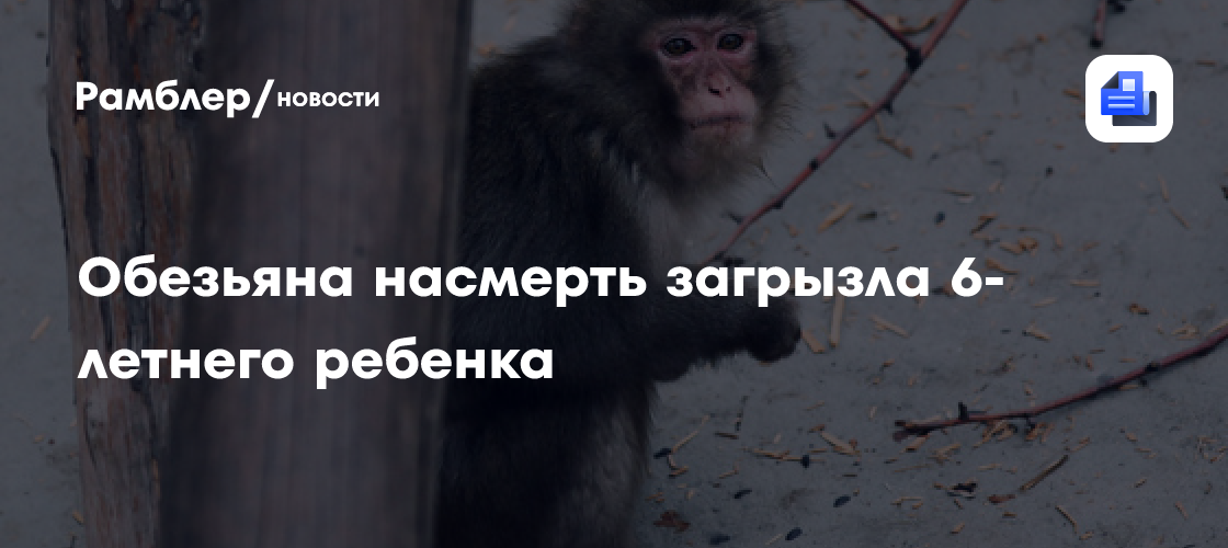 Обезьяна насмерть загрызла 6-летнего ребенка