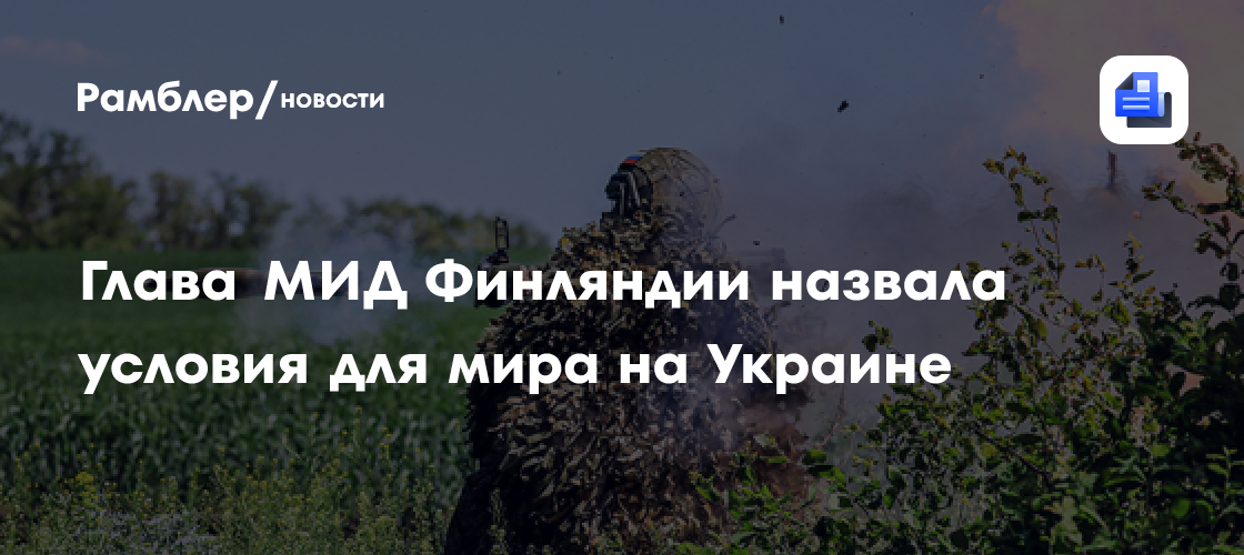 Глава МИД Финляндии назвала условия для мира на Украине