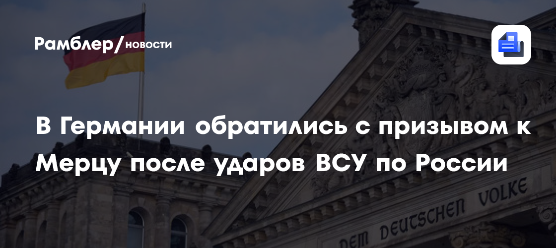В Германии обратились с призывом к Мерцу после ударов ВСУ по России