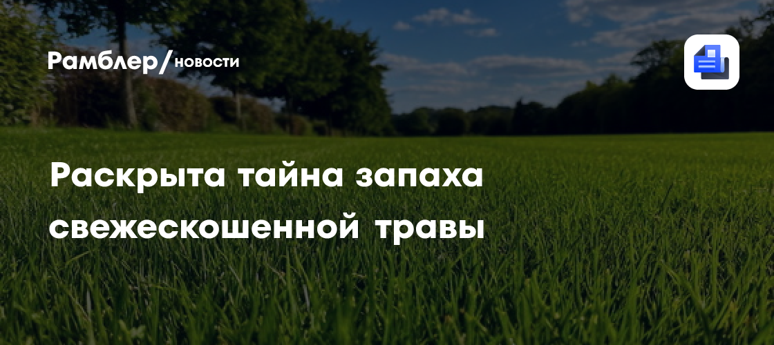 «Молекулярный щит» и древняя война: наука раскрыла тайну запаха свежескошенной травы