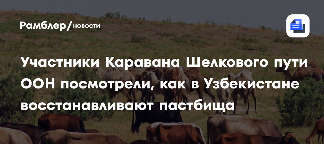 Участники Каравана Шелкового пути ООН посмотрели, как в Узбекистане восстанавливают пастбища