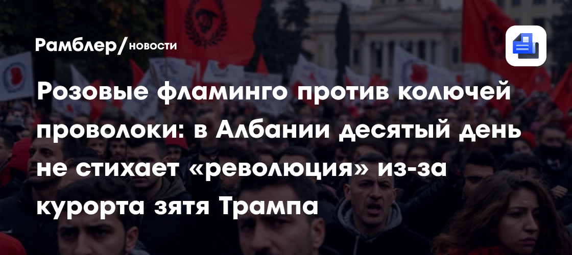 Розовые фламинго против колючей проволоки: в Албании десятый день не стихает «революция» из-за курорта зятя Трампа