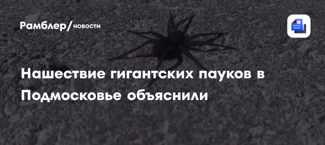 Семьи прятали под столами: арестованы 55 участников бойни детей
