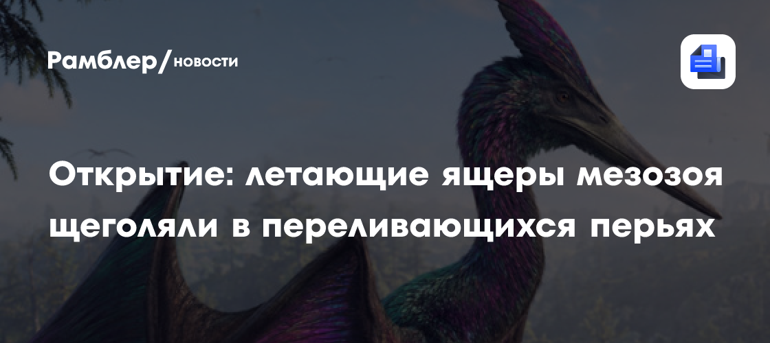 Открытие: летающие ящеры мезозоя щеголяли в переливающихся перьях