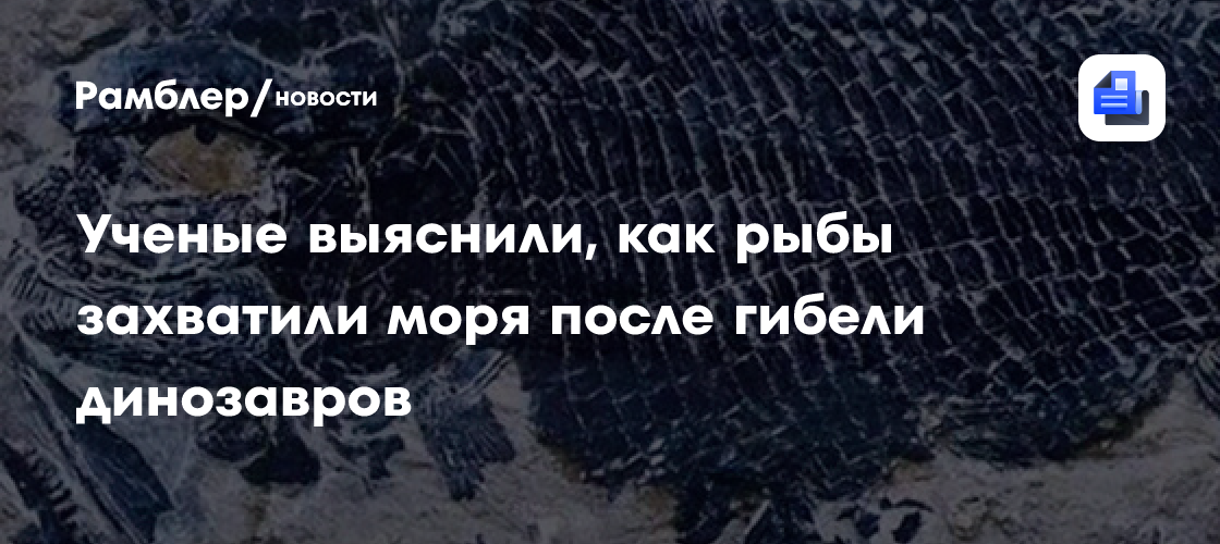 Ученые выяснили, как рыбы захватили моря после гибели динозавров