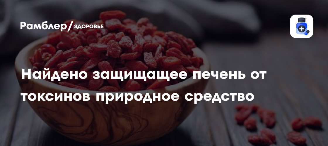 Найдено защищащее печень от токсинов природное средство