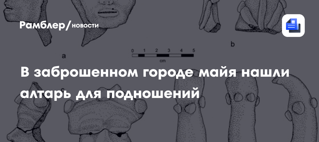 Алтарь для подношений нашли в заброшенном городе майя