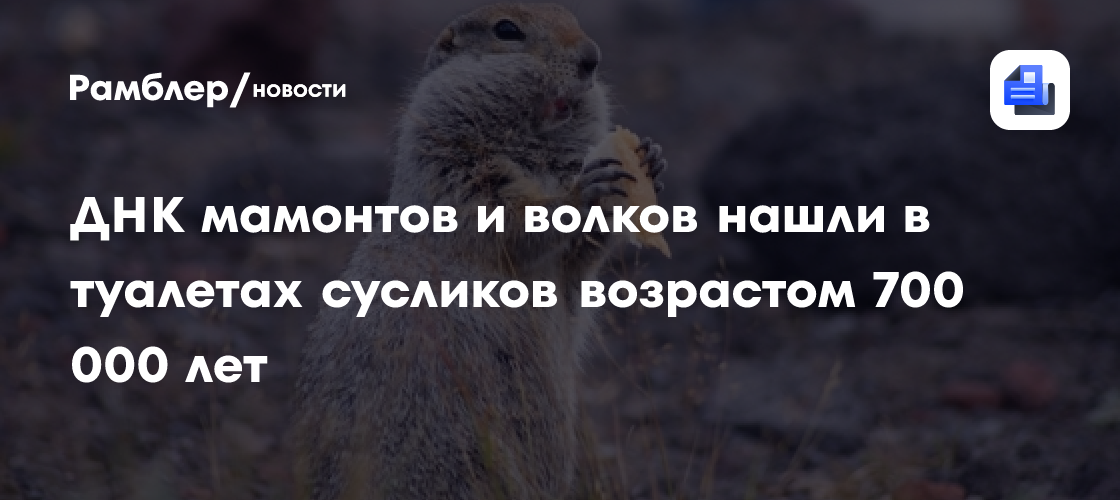 ДНК мамонтов и волков нашли в туалетах сусликов возрастом 700 000 лет