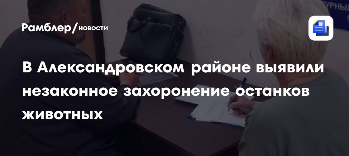 В Александровском районе выявили незаконное захоронение останков животных