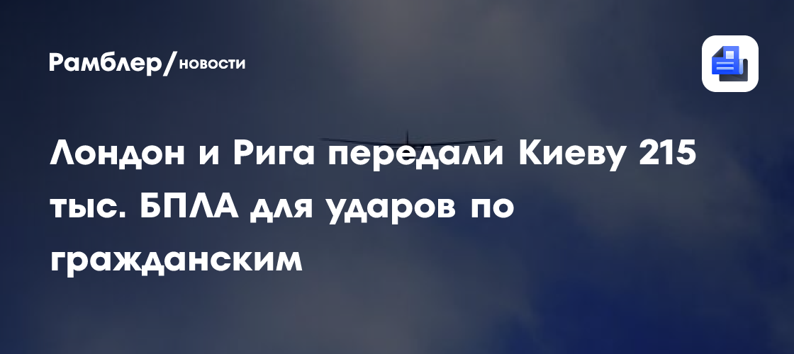Делегация РФ в Вене назвала "коалицию дронов" главным спонсором убийства россиян