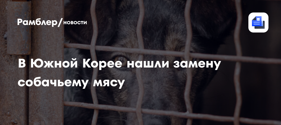 В Южной Корее нашли замену собачьему мясу