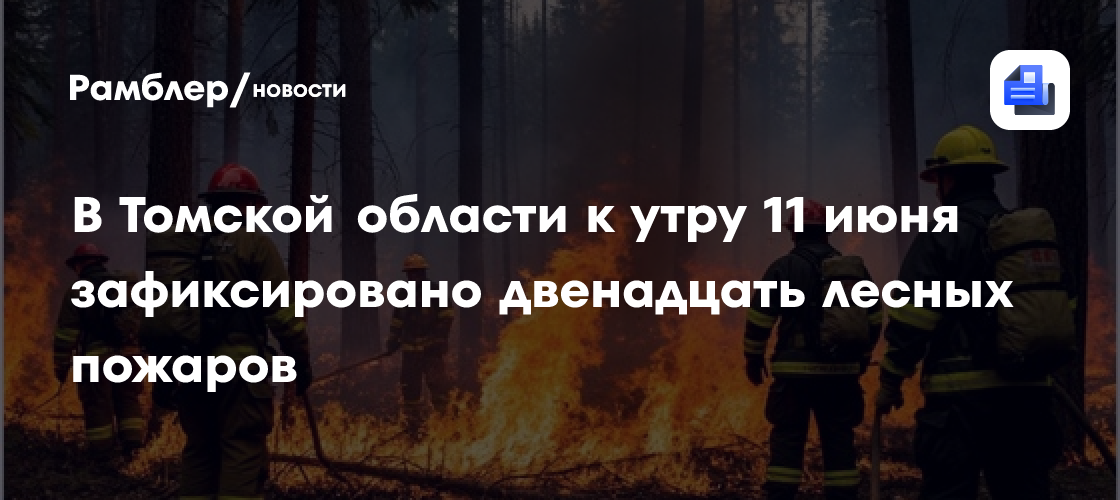 В Томской области к утру 11 июня зафиксировано двенадцать лесных пожаров