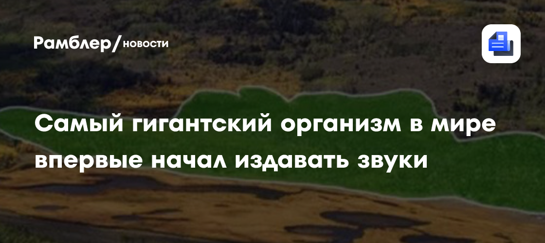Самый гигантский организм в мире впервые начал издавать звуки