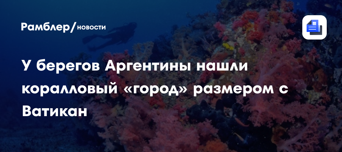 Подводный коралловый «город» размером с Ватикан нашли у берегов Аргентины